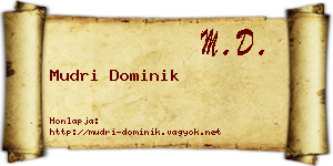 Mudri Dominik névjegykártya